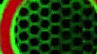 twerking cougar sara jay oils up her big ass and tits feeling intense pleasure with wet pussy lips