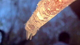 Imagine having intense outdoor sex with a cute witch deep in the forest