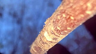 Imagine having intense outdoor sex with a cute witch deep in the forest