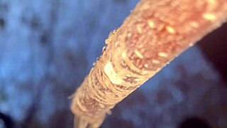 Imagine having intense outdoor sex with a cute witch deep in the forest