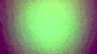 Amateur babe gives blowjob to Latina milf in homemade video