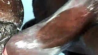 Fucking stepmom's pussy and asshole hard