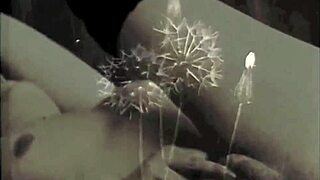 hey check out my secret life as worlds greatest erotic story in vintage silent movies