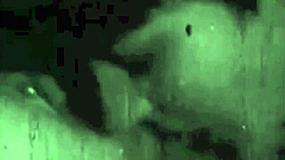 My Secret Life Vintage Granny Fanny Gets Blowjob And Fucking In Hairy Retro Action