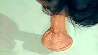 Cute Latina sissy cuckold locked in cage gets dominated