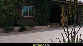 Pampering our sitter Seth Penny Barber Coco Lovelock