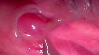 oh man, like this amateur pink pussy after 275 days since losing virginity, wet and shaved from homemade couple licking