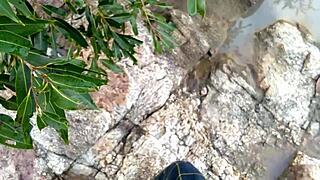 raw jungle fun with stepmom by the river in doggystyle anal!