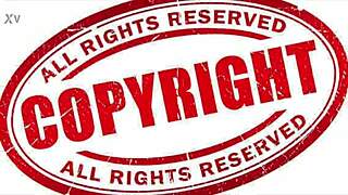 Breeding session contrasts with Cassandra experiencing her first breeding encounter