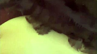 i crave milfycalla's romantic blowjob compilation