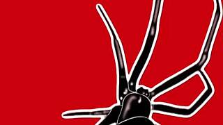 salems cherry delights