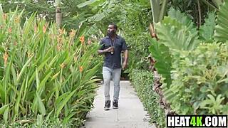 Gotham Clown Chase - Vol 1 - A Harley Quinn Parody Cory Chase Ace Bigs