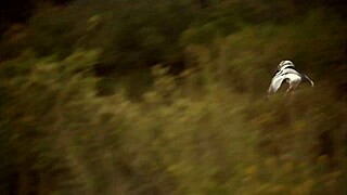 Horny Milf Hooks Hung Fisherman's Throbbing Rod For Outdoor Blowjob And Facial