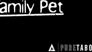 Leashed Aria Sloane Obeys Dominant Pervert Stepdad for Her Desires