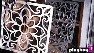 sexy milf lindsay marie looked so beautiful as the babe posed for playboy in lingerie. she stripped slowly revealing small tits and cute ass in softcore solo tease.