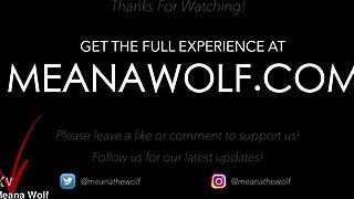 This close encounter with Meana Wolf