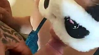 Full Profile Video Presentation With Detailed Features And Insights