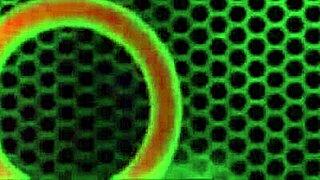 ava austen glasses milf licks bbw tits and pussy deep