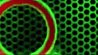 Maserati's Juicy Big Tits Pussy Lips Drive Me Wild