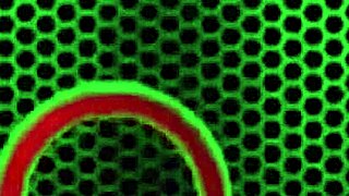 MAKAYLA COX LICKS lesbian milf pussy to wet ORGASM