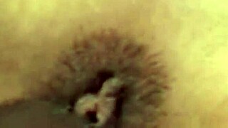 swingin' swingers fuck everyone they see sloppy