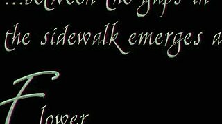 Blonde Milf in Fishnets Gets Assfucked Deep