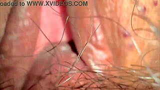 amateur japanese wife licks shaved pussy closeup 331 days after losing virginity