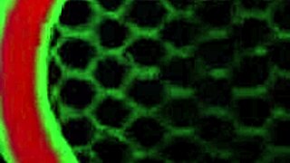 Maxine X Poses in Maid Costume Plays Big Tits