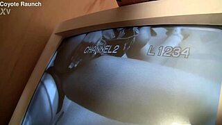 Talia Palmer Devours Monster Cock Through Glory Hole