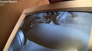 Talia Palmer Devours Monster Cock Through Glory Hole