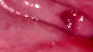 Amateur Japanese wife licks shaved pussy 361 days post virginity loss