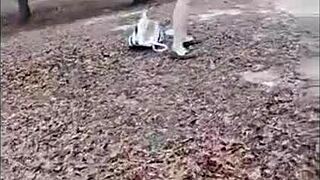 momma vee’s fat ass hangs out during disc golf play