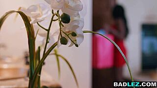 ebony cougar milf dildo fucks big tits mature