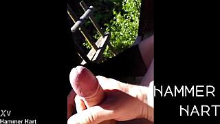 muscular german bodybuilder wanks huge cock publicly in forest