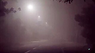 wet night forest romp: mommy's puffy pussy begs for more