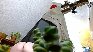 curvy hairy mature dawnskye hunts tiny cock for solo ass shake tease