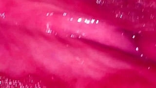 World, See My Virgin Girlfriend's Proof in Close-Up Lick!