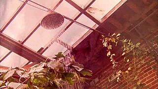 Amy Azurra Fuckfairy Bent Over Doggystyle Blowjob Facial Outdoor Shaved Pussy