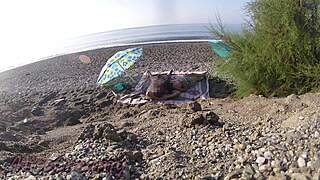 my flashing wife strokes huge cock on nude beach for strangers