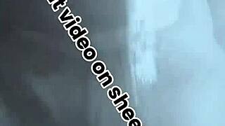 Horny oiled black monster cock masterbates muscular doggystyle closeup