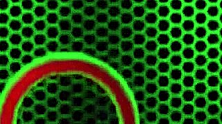 Tanya Tate's Big Tits and Pussy Lips in Lesbian Lick Fest