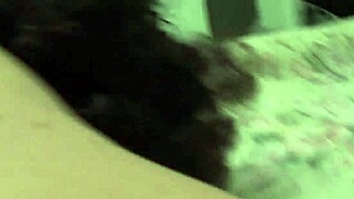 i surprise my husband with a blowjob that brings my wild orgasm