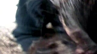 Watch me suck huge cocks till they explode cum straight in mouth