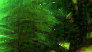 Brazilian BBW Fucks Wild on Crazy Bus Ride