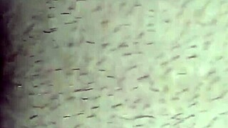 wanna see my homemade anal close-up pov?