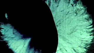 Dark lantern unveils vintage granny milf arcade films collection