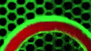 marcia hase petite asian milf naughty bedroom banging rome major big black cock creampie