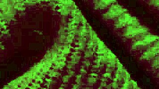 Italian milf Artemisia bounces huge tits solo