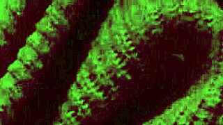 Italian milf Artemisia bounces huge tits solo