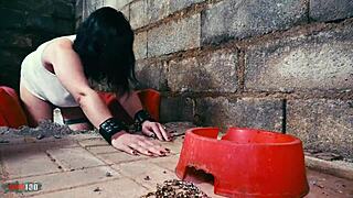 french milf hedone screams as evil clown terry kemaco anal pounds her wild!